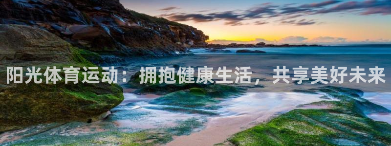 三亿体育网页版