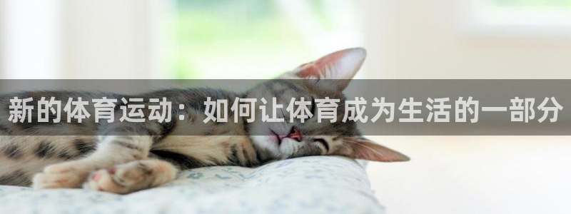 三亿体育网页版：新的体育运动：如何让体育成为生活的一部分