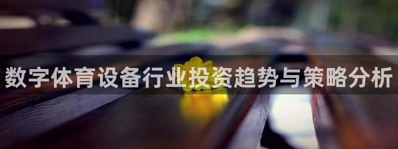 三亿体育网：数字体育设备行业投资趋势与策略分析