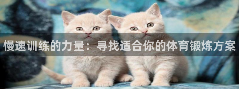 三亿体育登录：慢速训练的力量：寻找适合你的体育锻炼方案