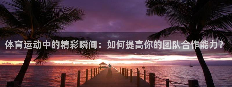 三亿体育网：体育运动中的精彩瞬间：如何提高你的团队合作能力？